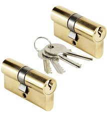 Lot 2 cylindres de porte 30x30 mm Barillet s\'entrouvrant BRICARD 4 clés