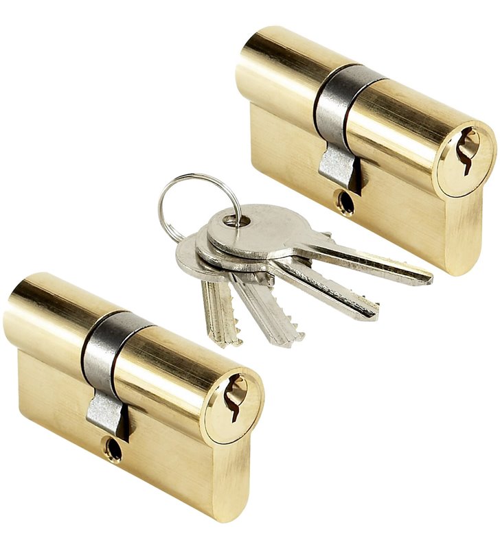 Lot 2 cylindres de porte 30x30 mm Barillet s'entrouvrant BRICARD 4 clés