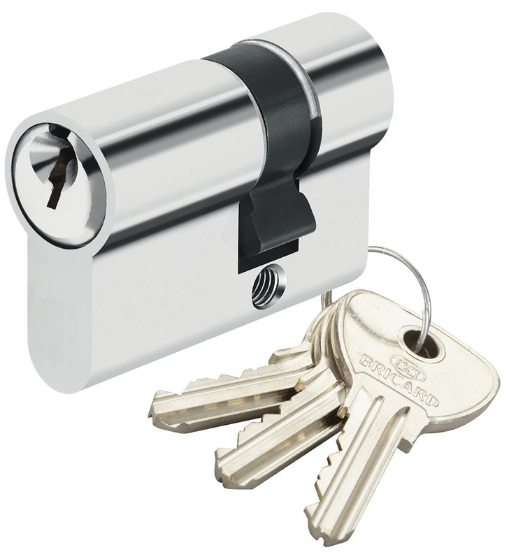 Demi Cylindre de sécurité pour porte barillet 10x30 mm Alpha Bricard 3 clés
