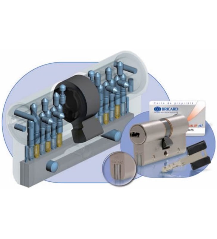Cylindre de porte haute sécurité débrayable 30x30 mm Bricard Dual XP S 3 clés mobile et carte de propriété
