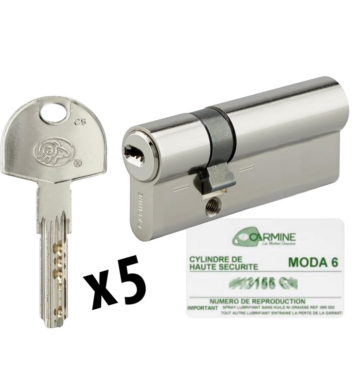 Cylindre de porte Haute sécurité debrayable 30 x 50 mm 5 clés et carte de propriété Barillet double entrée