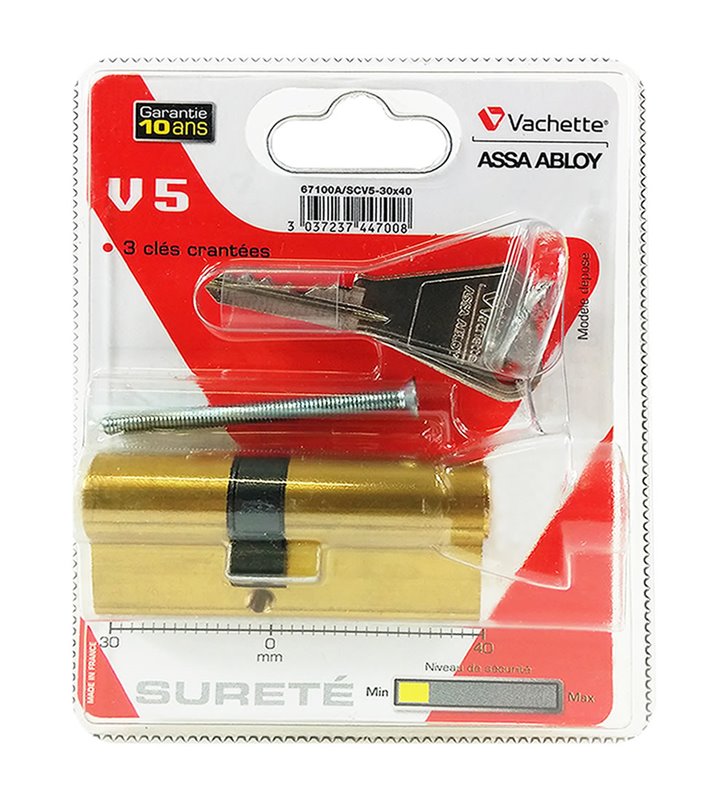 Cylindre Vachette V5 Barillet 30 x 40 mm pour serrure de porte