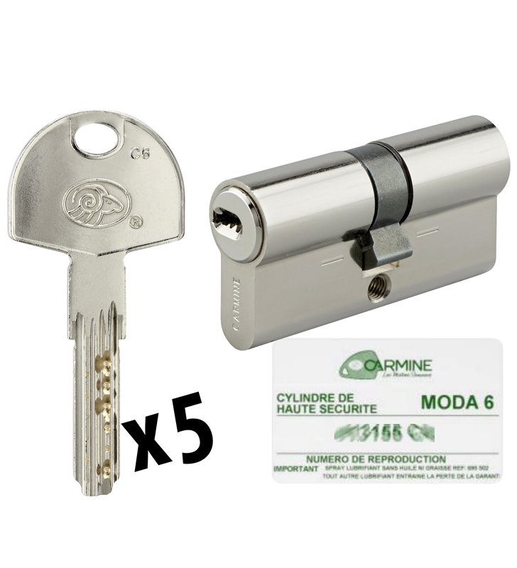 Cylindre de porte Haute sécurité debrayable 30 x 40 mm 5 clés et carte de propriété Barillet double entrée