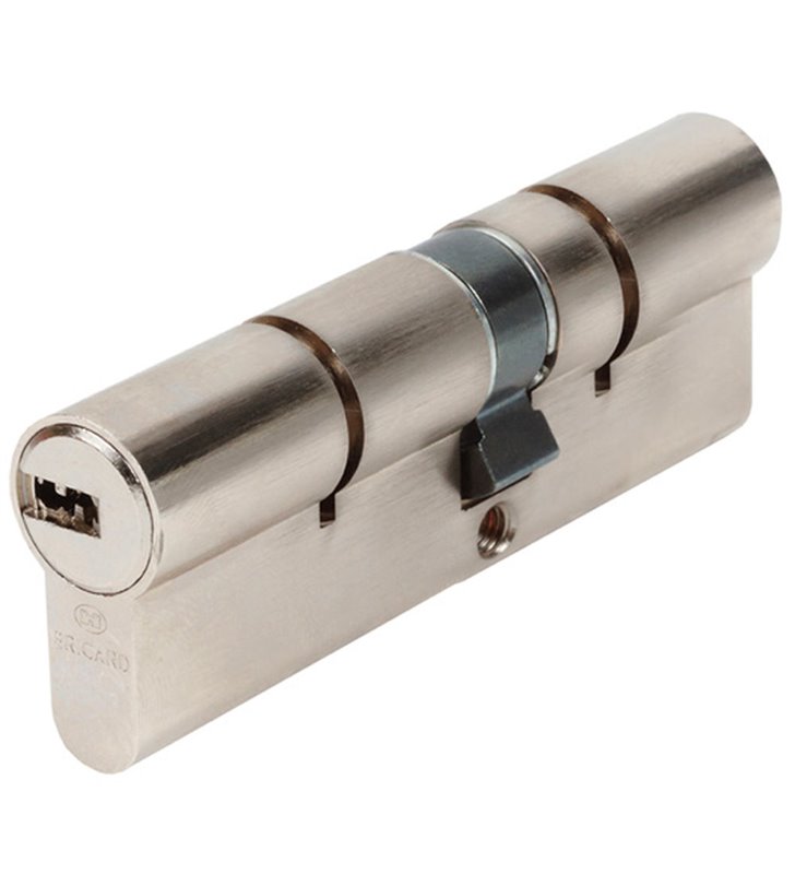 Cylindre de porte Bricard Astral 15791 débrayable 45+55 mm 4 clés sécurité 3