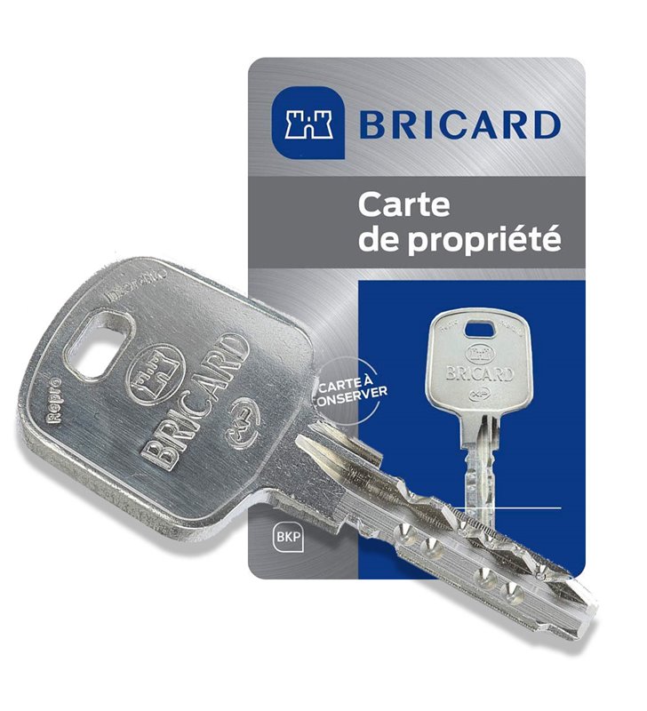 Cylindre à bouton Bricard Serial XP 18005 30+30 mm Haute sécurité