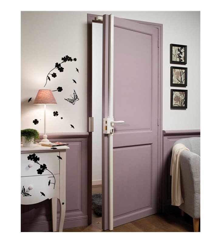 Serrure de porte 3 points en applique Gauche Bricard 74622