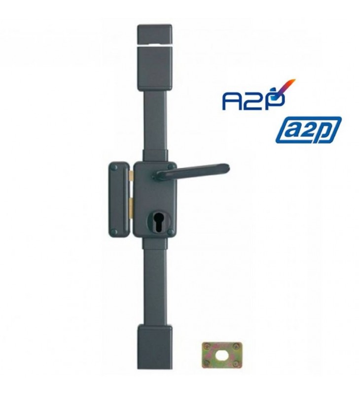 Serrure de porte Droite 3 points verticale Vachette 8800 A2P