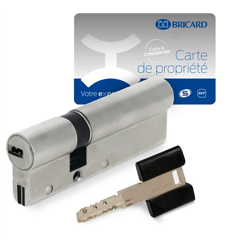 Cylindre serrure européen double entrée 70 x 30 mm debrayable 4 clés Dual XP A2P 1 BRICARD