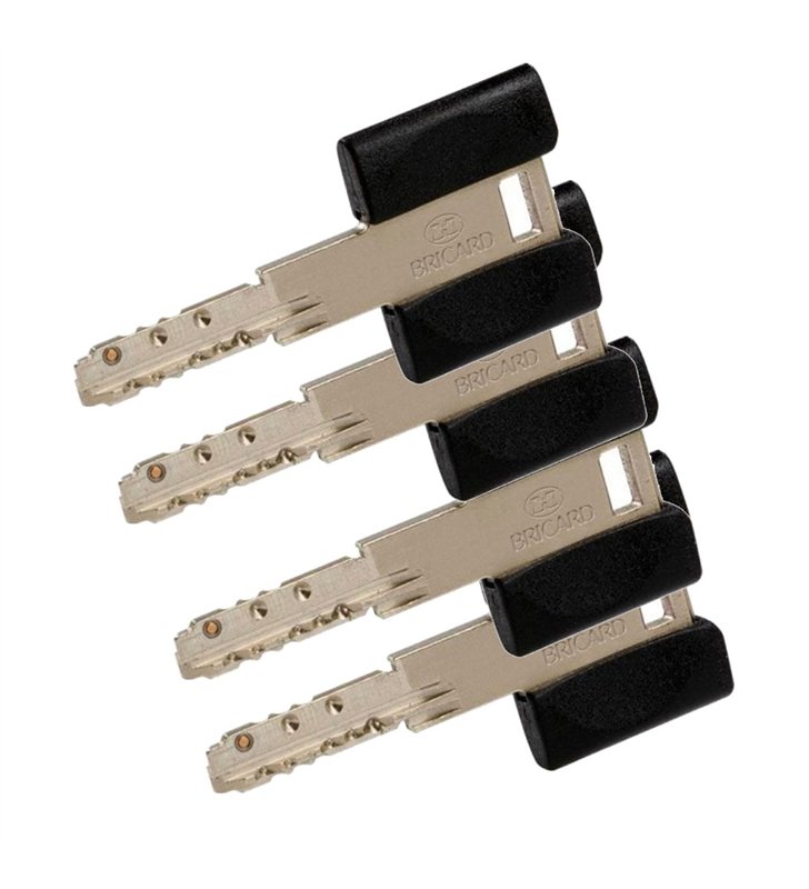 Cylindre serrure européen double entrée 70 x 30 mm debrayable 4 clés Dual XP A2P 1 BRICARD