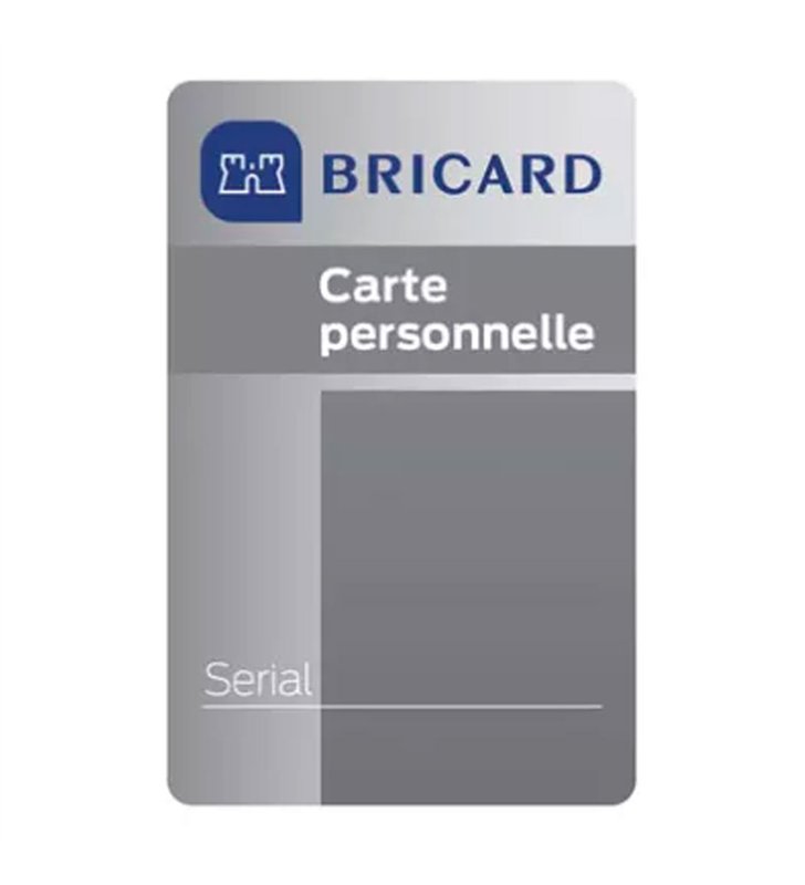 Cylindre serrure avec protecteur 30 x 30 mm PMR haute sécurité 4 clés Serial S A2P 1 BRICARD