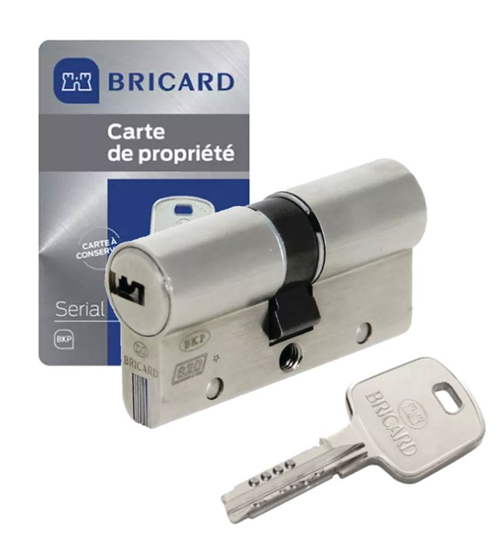 Cylindre serrure européen double entrée 30 x 40 mm debrayable 4 clés Serial S A2P 1 BRICARD