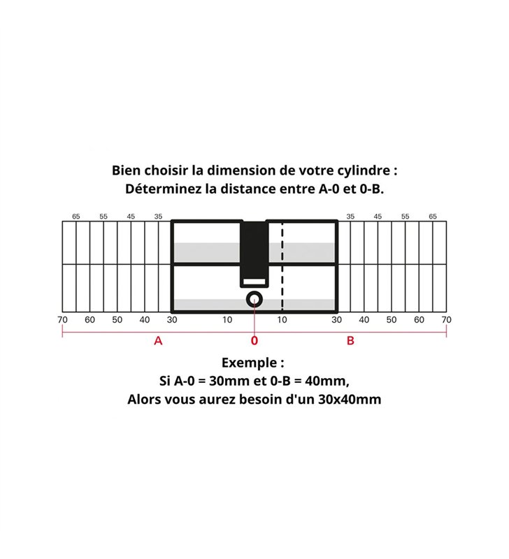 Cylindre serrure porte debrayable haute sécurité clés réversibles Carte propriété Trafic 6 Thirard
