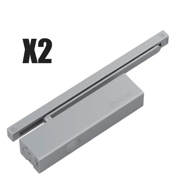 Bandeau Ferme portes à force réglable 1 à 3 poussant gauche gris Bricard Ensemble 2 Vantaux