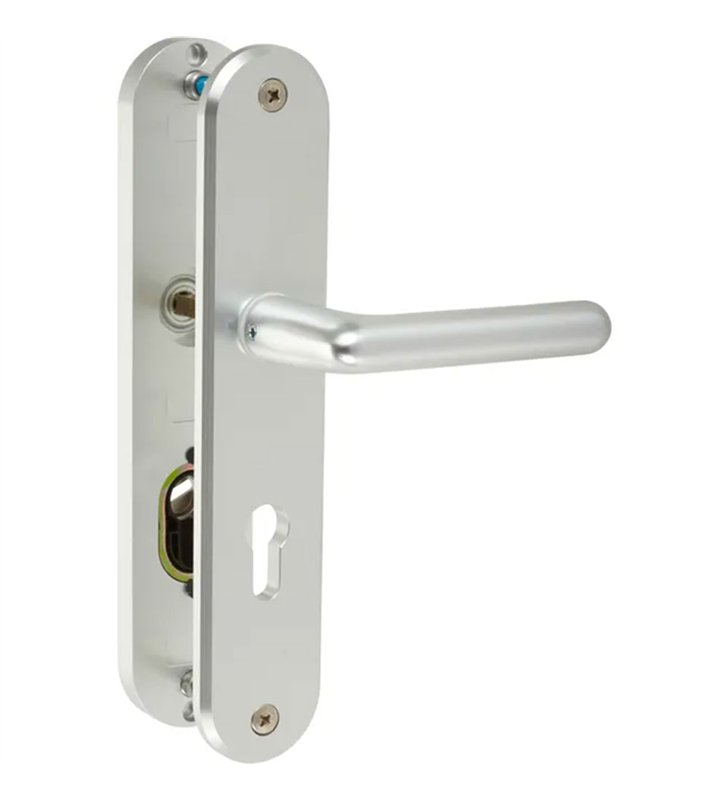 Paire de poignées de porte d’entrée blindée en aluminium cylindre européen Bricard Osmose