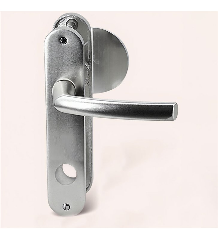 Paire de poignées plaques aluminium 234 mm béquille aileron sans clés trou 20 mm Bricard