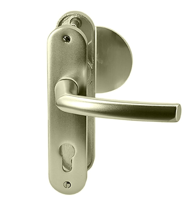 Paire poignées de porte aluminium blindée Bricard Osmose 190 mm béquille aileron trou cylindre