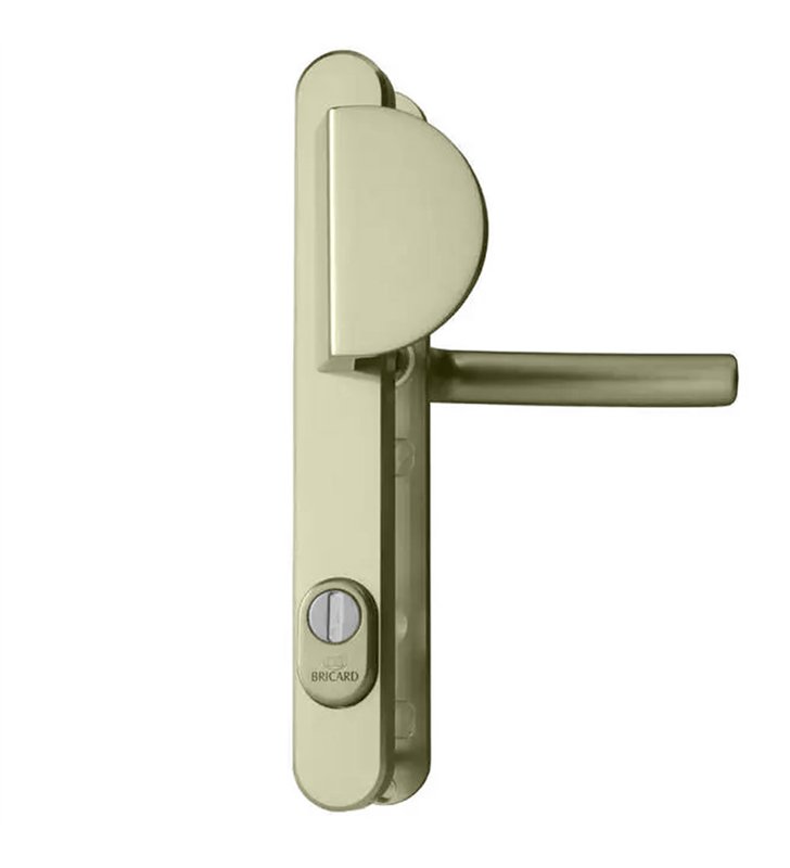 Paire poignée blindée de porte Bricard Bricard Osmose béquille aileron plaque étroite aluminium 250 mm