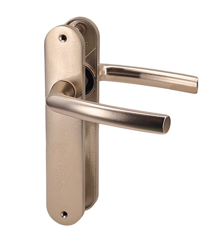 Paire de poignées plaques aluminium champagne 234 mm Bricard pour porte intérieur sans clés