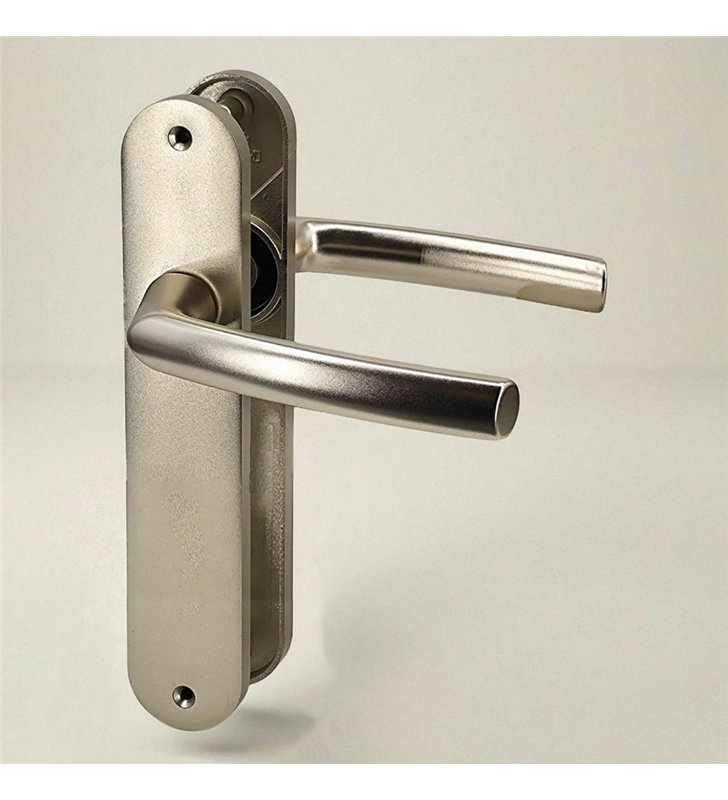 Paire de poignées plaques aluminium champagne 234 mm Bricard pour porte intérieur sans clés