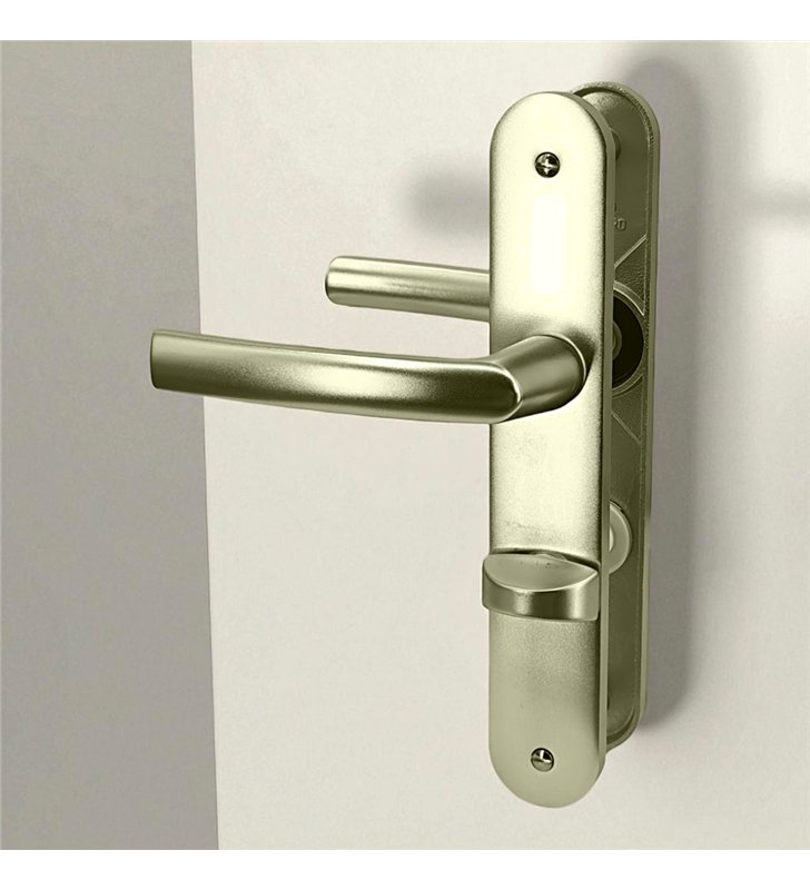 Paire de poignée porte toilette champagne aluminium à condamnation avec voyant 234 mm Bricard