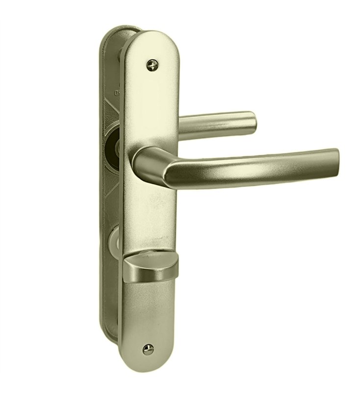 Paire de poignée porte toilette champagne aluminium à condamnation avec voyant 234 mm Bricard