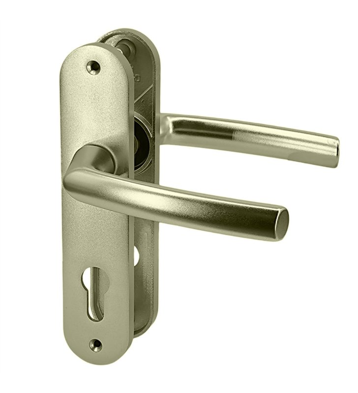 Paire de poignées de porte intérieur sur plaques aluminium blindé 190 mm cylindre Bricard Osmose