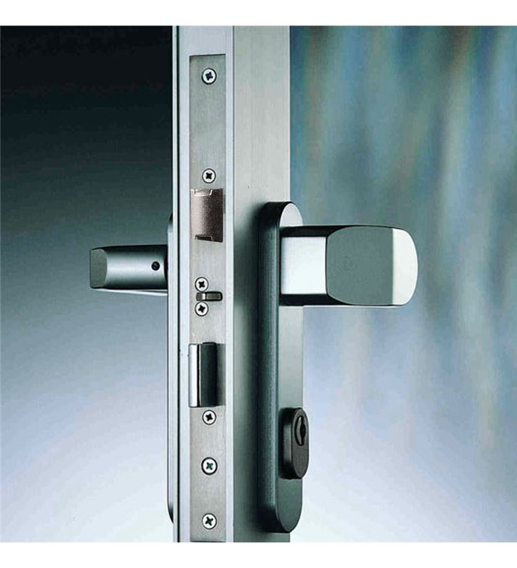 Serrure à encastrer de porte et menuiserie metalique a cylindre Axe 21 mm Reversible Bricard