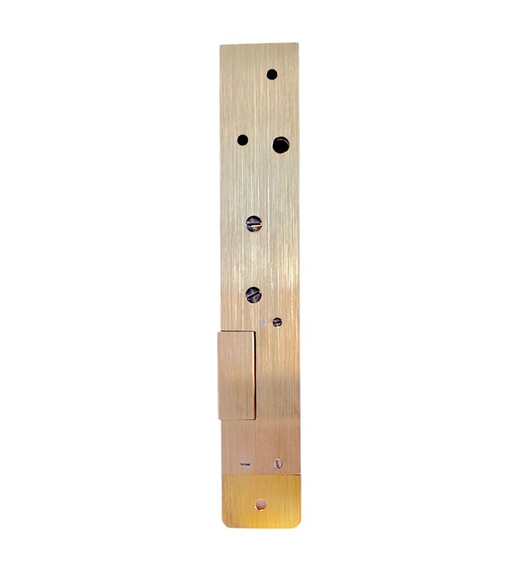 Gache électrique en applique 12V serrure verticale contact stationnaire 158 mm gauche Beugnot 10