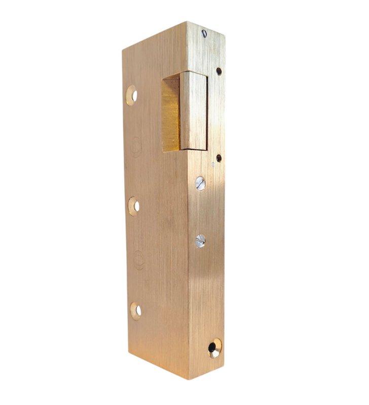 Gache électrique en applique 158 mm serrure verticale contact stationnaire 12V droit Beugnot 12