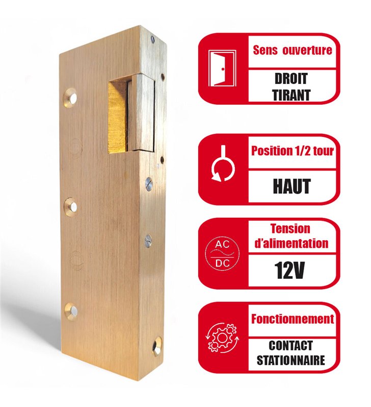 Gache électrique en applique 158 mm serrure verticale contact stationnaire 12V droit Beugnot 12