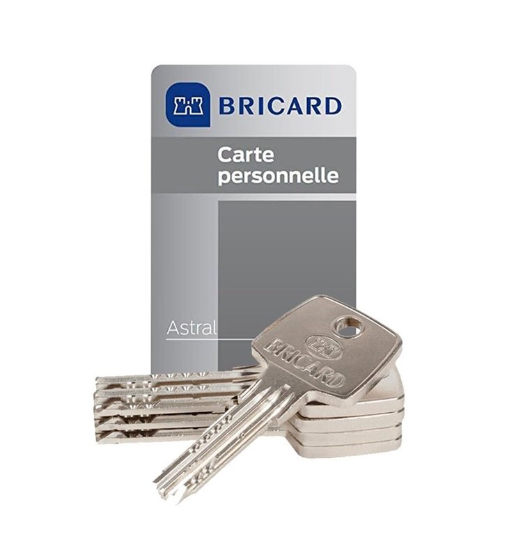 Cylindre de Securite Bricard Astral 30x55mm Profil Europeen Haute Securite Anti-Effraction 3 clés