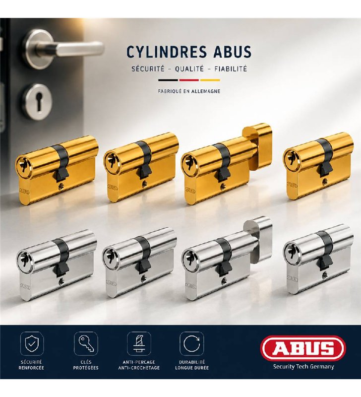 Cylindre de Securite ABUS E50 Profil Europeen Anti-Crochetage Anti-Percage 3 Cles Toutes Dimensions